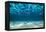 Ocean Bottom, View Beneath Surface-Cico-Framed Premier Image Canvas