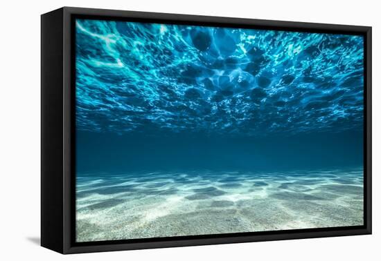 Ocean Bottom, View Beneath Surface-Cico-Framed Premier Image Canvas