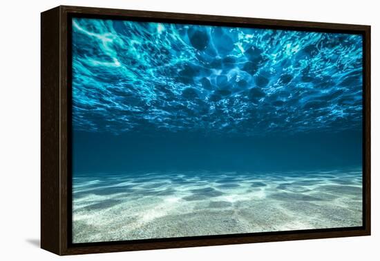 Ocean Bottom, View Beneath Surface-Cico-Framed Premier Image Canvas