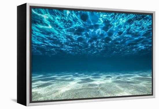 Ocean Bottom, View Beneath Surface-Cico-Framed Premier Image Canvas