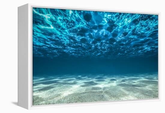 Ocean Bottom, View Beneath Surface-Cico-Framed Premier Image Canvas