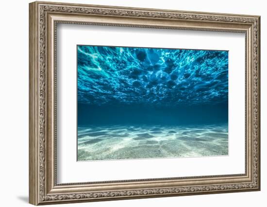 Ocean Bottom, View Beneath Surface-Cico-Framed Premium Photographic Print