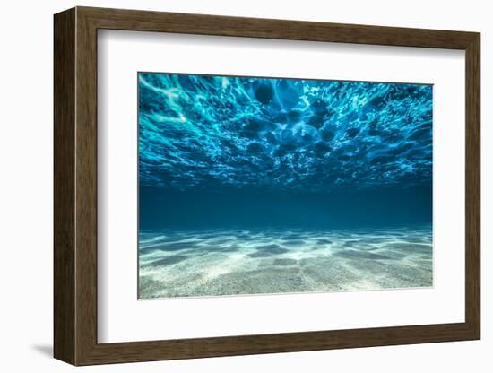 Ocean Bottom, View Beneath Surface-Cico-Framed Premium Photographic Print