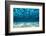 Ocean Bottom, View Beneath Surface-Cico-Framed Premium Photographic Print