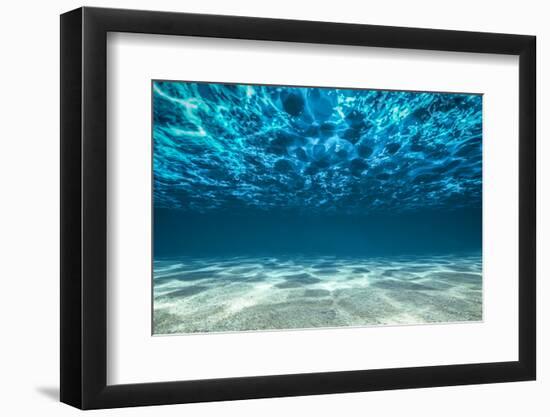 Ocean Bottom, View Beneath Surface-Cico-Framed Premium Photographic Print