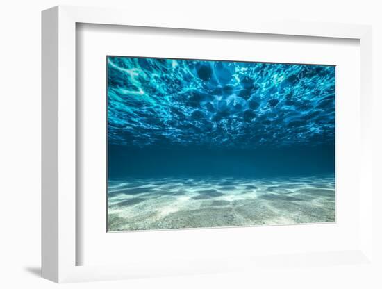 Ocean Bottom, View Beneath Surface-Cico-Framed Premium Photographic Print