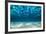 Ocean Bottom, View Beneath Surface-Cico-Framed Photographic Print