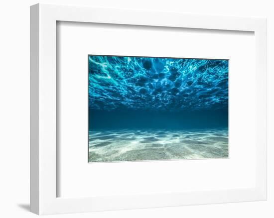 Ocean Bottom, View Beneath Surface-Cico-Framed Photographic Print