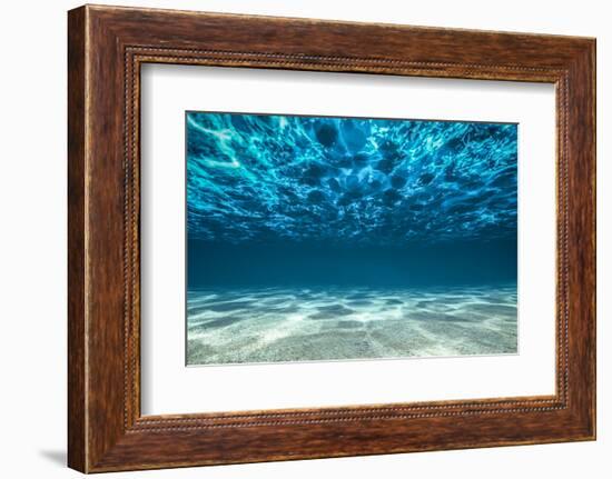 Ocean Bottom, View Beneath Surface-Cico-Framed Photographic Print