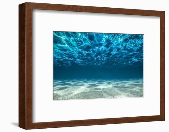 Ocean Bottom, View Beneath Surface-Cico-Framed Photographic Print