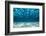 Ocean Bottom, View Beneath Surface-Cico-Framed Photographic Print