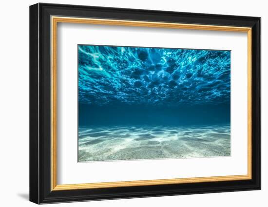 Ocean Bottom, View Beneath Surface-Cico-Framed Photographic Print