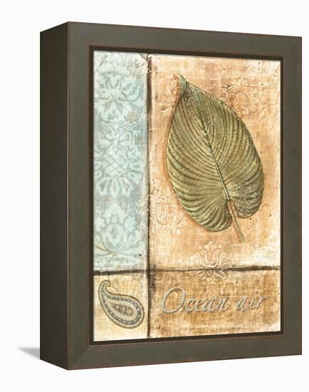 Ocean Breeze I-Charlene Audrey-Framed Stretched Canvas