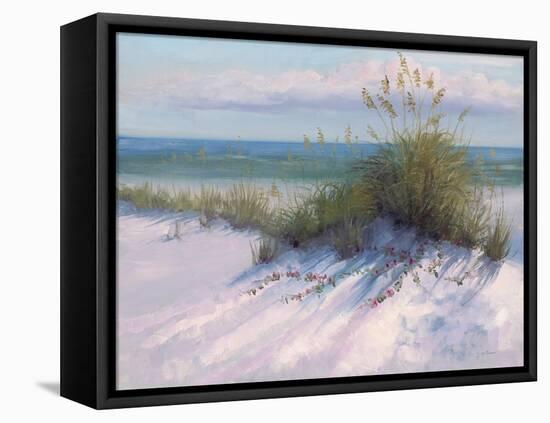 Ocean Breeze View-Jill Schultz McGannon-Framed Stretched Canvas