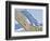 Ocean Breeze-Jack Saylor-Framed Art Print