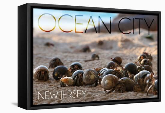 Ocean City, New Jersey - Group of Hermit Crabs-Lantern Press-Framed Stretched Canvas