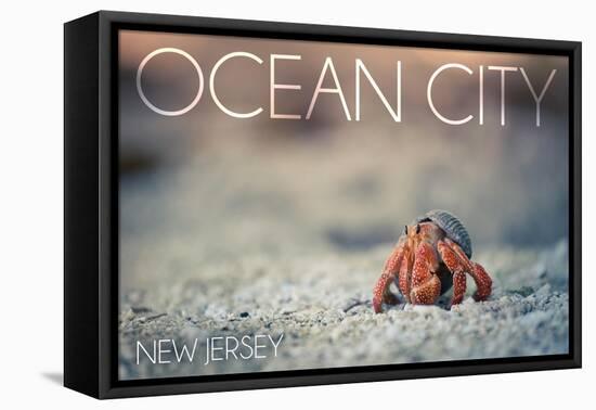 Ocean City, New Jersey - Hermit Crab on Beach-Lantern Press-Framed Stretched Canvas