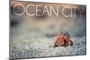 Ocean City, New Jersey - Hermit Crab on Beach-Lantern Press-Mounted Art Print