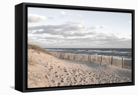 Ocean Clarity-Marlana Semenza-Framed Stretched Canvas