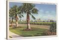 Stretched Canvas Print