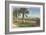 Ocean Drive, Corpus Christi-null-Framed Art Print