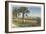 Ocean Drive, Corpus Christi-null-Framed Art Print