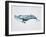 Ocean Explorer - Blue-Tania Bello-Framed Giclee Print