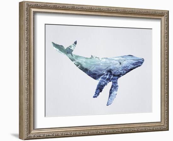 Ocean Explorer - Humpback-Tania Bello-Framed Giclee Print