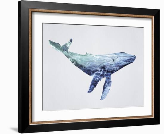 Ocean Explorer - Humpback-Tania Bello-Framed Giclee Print