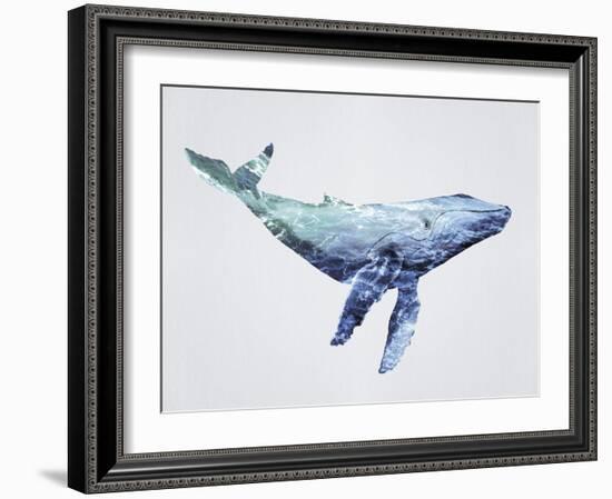 Ocean Explorer - Humpback-Tania Bello-Framed Giclee Print
