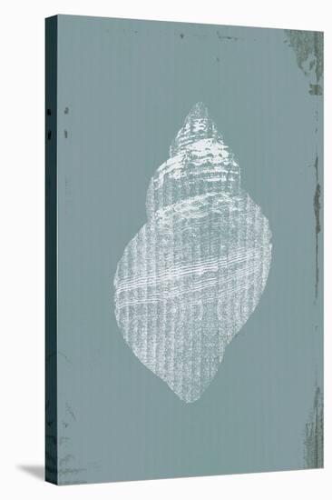 Ocean Fade - Shell-Ken Hurd-Framed Stretched Canvas