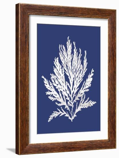 Ocean Feather - Adriatic-Tania Bello-Framed Giclee Print