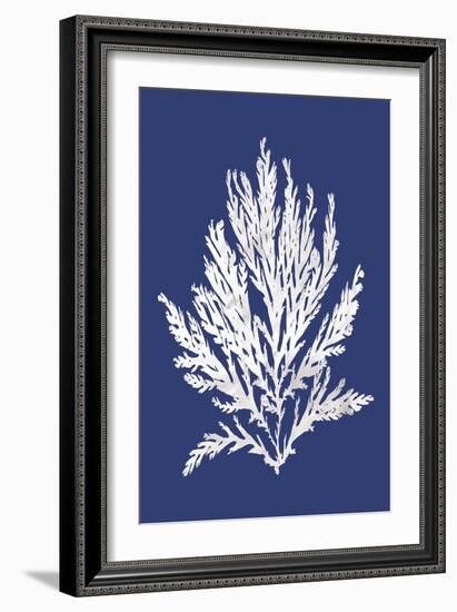 Ocean Feather - Adriatic-Tania Bello-Framed Giclee Print