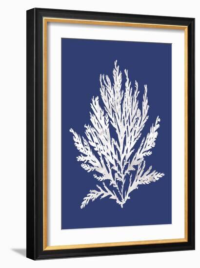 Ocean Feather - Adriatic-Tania Bello-Framed Giclee Print