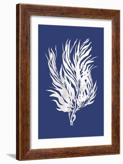 Ocean Feather - Andaman-Tania Bello-Framed Giclee Print