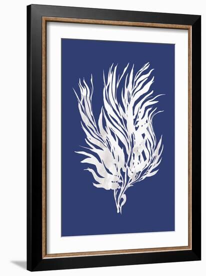 Ocean Feather - Andaman-Tania Bello-Framed Giclee Print