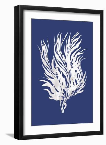 Ocean Feather - Andaman-Tania Bello-Framed Giclee Print