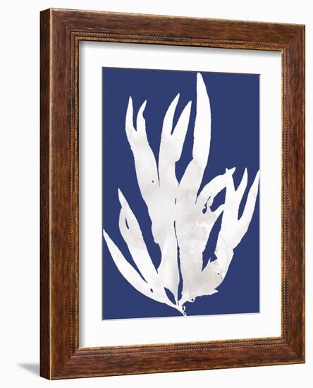 Ocean Feather - Arafura-Tania Bello-Framed Giclee Print