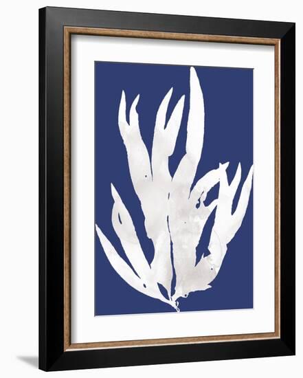 Ocean Feather - Arafura-Tania Bello-Framed Giclee Print