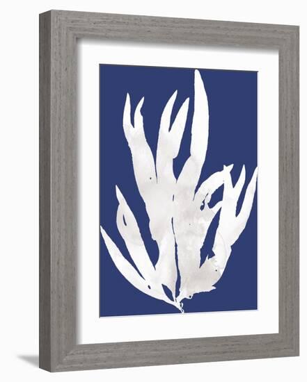 Ocean Feather - Arafura-Tania Bello-Framed Giclee Print