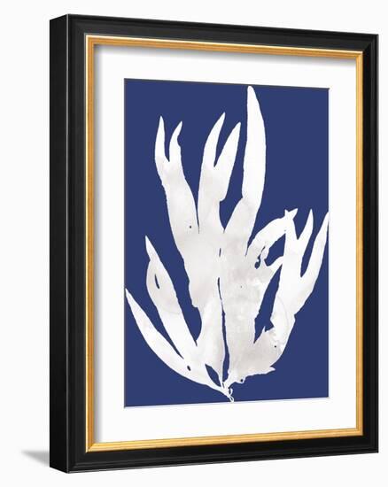 Ocean Feather - Arafura-Tania Bello-Framed Giclee Print