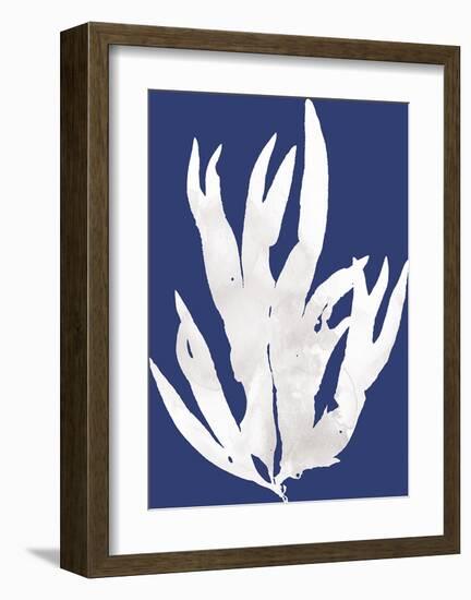 Ocean Feather - Arafura-Tania Bello-Framed Giclee Print