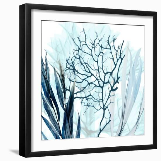 Ocean Floor Life 3-Albert Koetsier-Framed Art Print