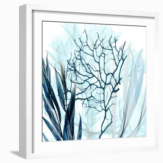 Ocean Floor Life 3-Albert Koetsier-Framed Art Print