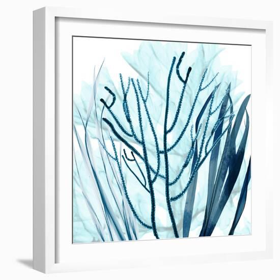 Ocean Floor Life 4-Albert Koetsier-Framed Art Print