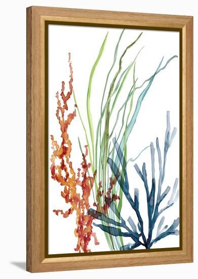 Ocean Garden I-Carol Robinson-Framed Stretched Canvas