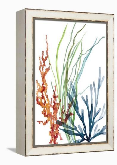 Ocean Garden I-Carol Robinson-Framed Stretched Canvas