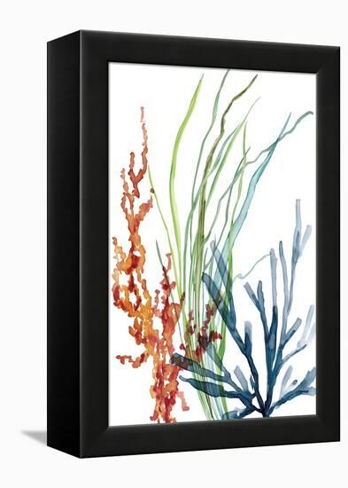 Ocean Garden I-Carol Robinson-Framed Stretched Canvas