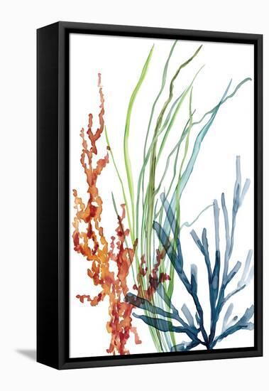 Ocean Garden I-Carol Robinson-Framed Stretched Canvas