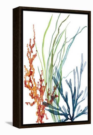 Ocean Garden I-Carol Robinson-Framed Stretched Canvas